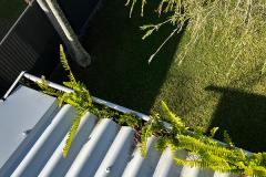 Dirt and plants in gutters before cleaning