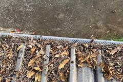 Leaf buildup in gutters need to be removed
